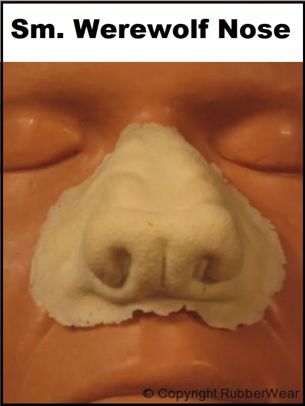 All Noses - Image 17