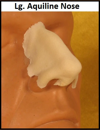 All Noses - Image 7
